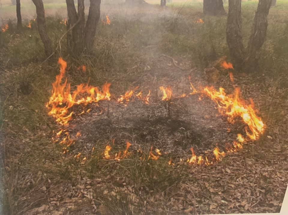 Bushfire & Your Development Image
