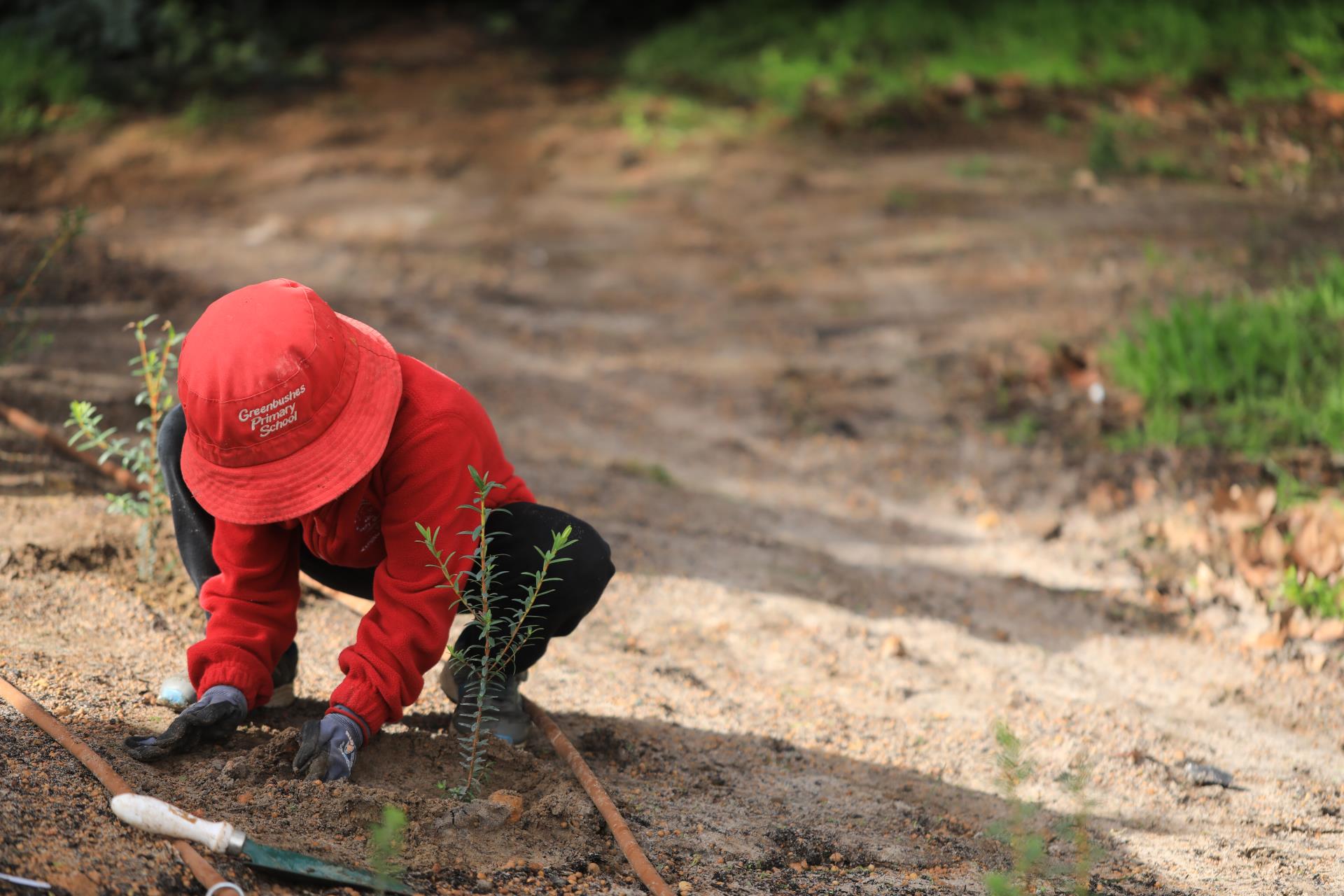 Greenbushes Youth Precinct Planting Day